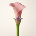 Silvme Rose Petal Statement 925 sterling silver ring for women — close-up detail