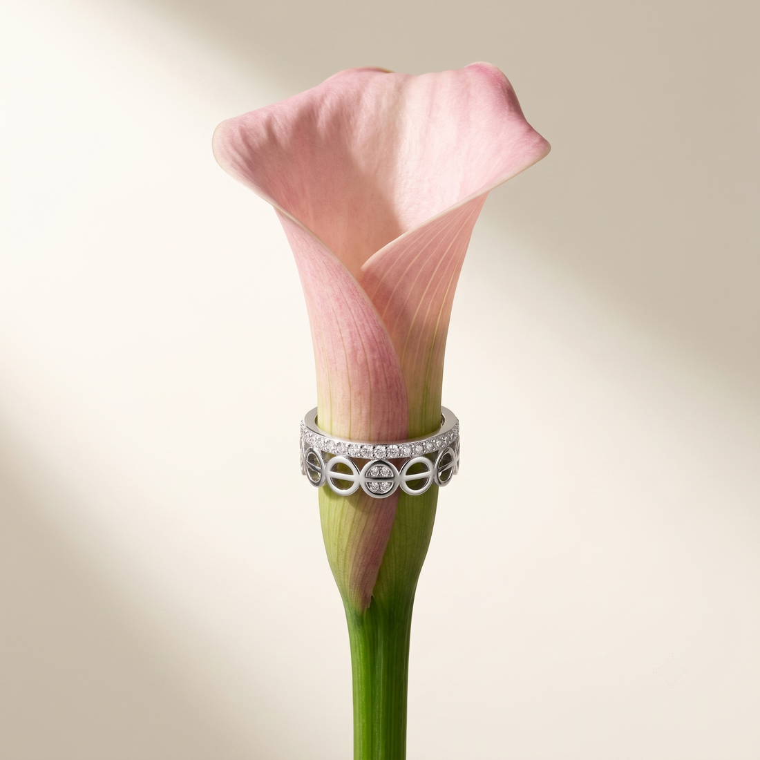 Silvme Shooting Star Trail Ring, crafted in 925 sterling silver for women, a gift-worthy silver piece