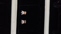 Silvme Pure 925 Sterling Silver Rose Gold Crown CZ Stud Earrings — Front View