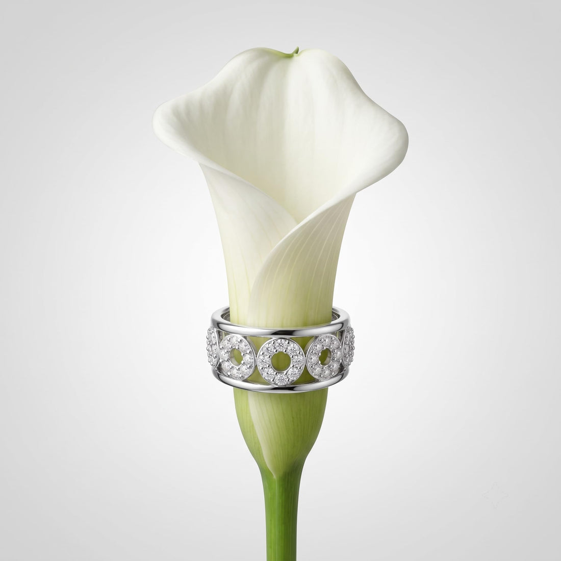 Silvme Floral Cluster 925 sterling silver ring for women — front view on white background